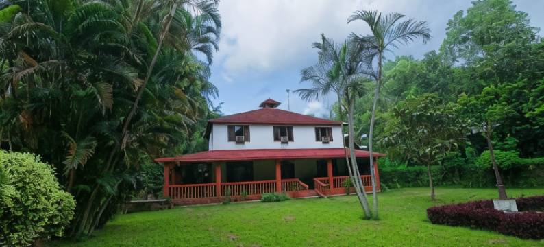 奇特旺天堂酒店(Chitwan Paradise Hotel)图片