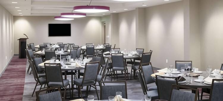 尼亚加拉瀑布温德姆花园酒店(Wyndham Garden at Niagara Falls)图片