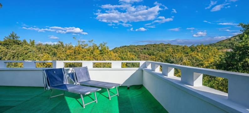 天堂酒店(Hotel Paradiso)图片