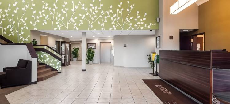 安眠酒店(Sleep Inn)图片