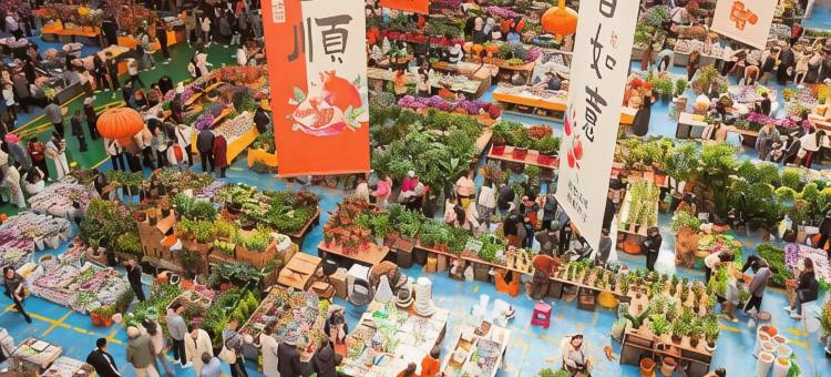 康铂酒店(昆明长水国际机场铂港现代广场店)图片