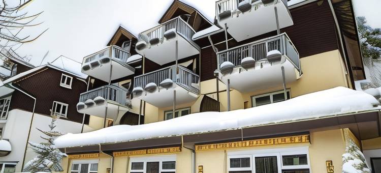 提提塞自然酒店(Nature Titisee - Easy.Life.Hotel.)图片