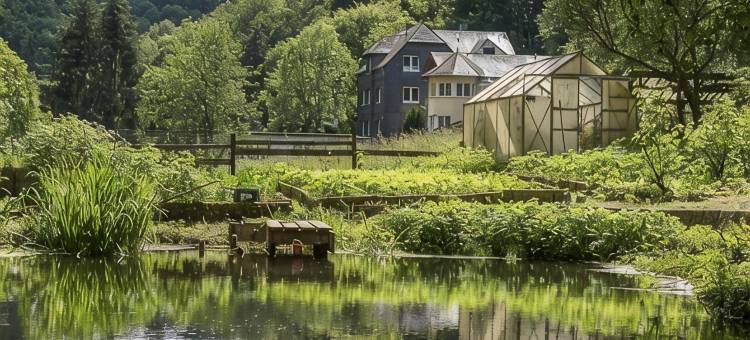 乡村旅馆希伦磨坊(Landgasthof Hieren Mühle)图片