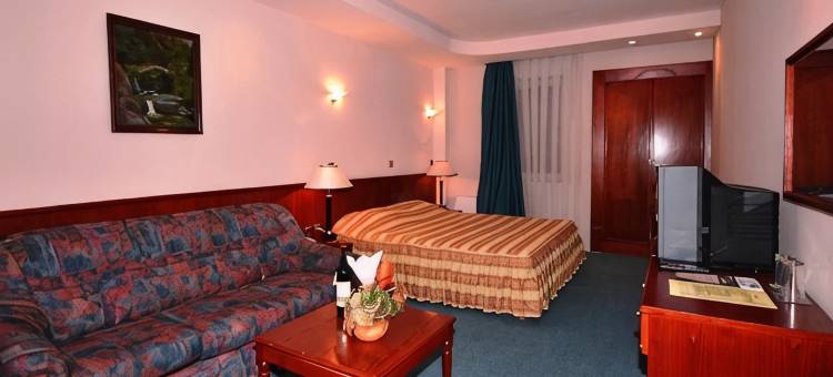 列别德酒店(Hotel Lebed)图片