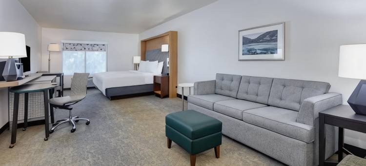 特温福尔斯假日酒店(Holiday Inn TWIN FALLS by IHG)图片