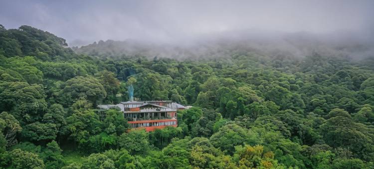 云雾森林旅馆(Cloud Forest Lodge)图片