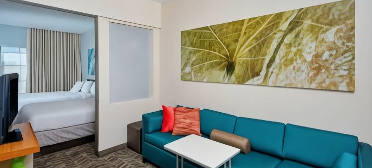 芝加哥绍姆堡／伍德菲尔德购物中心万豪SpringHill酒店(SpringHill Suites Chicago Schaumburg/Woodfield Mall)图片