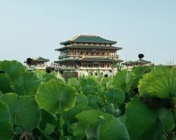 Free hanfu! Summer fun kicks off at Tang Paradise