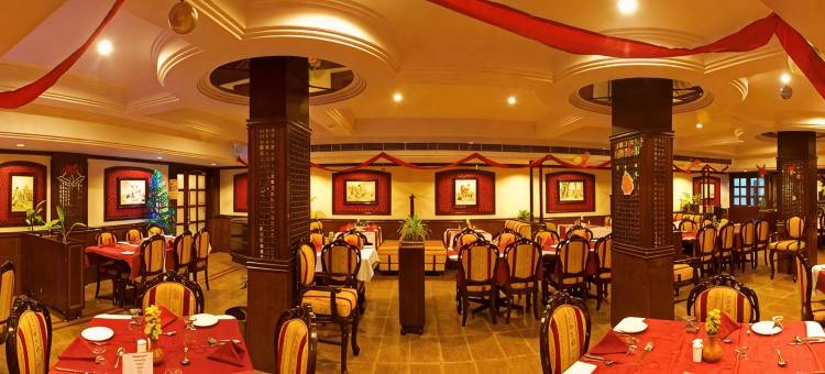 安安达酒店会议中心和套房(Anandha Inn Convention Centre and Suites)图片