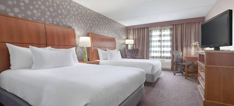 斯普林菲尔德希尔顿花园旅馆(Hilton Garden Inn Springfield, MA)图片