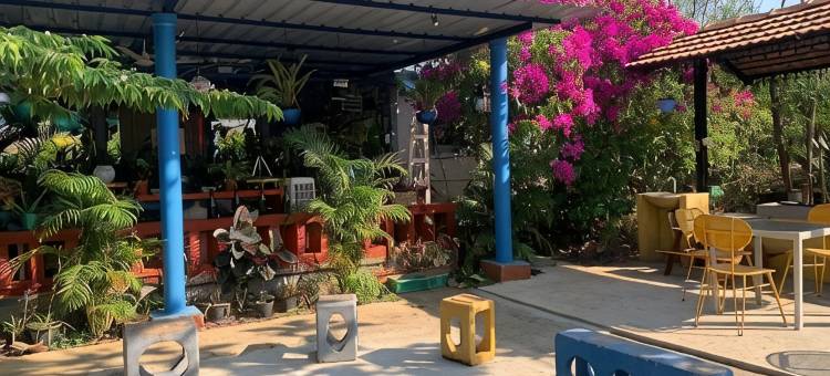 荒野丛林营地(Wilderness Jungle Camp)图片