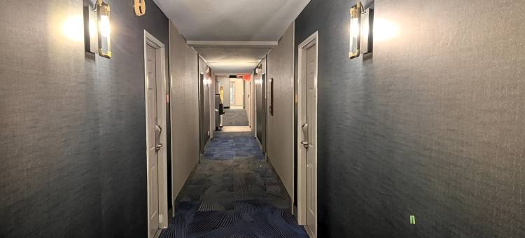 列克星敦拉昆塔温德姆酒店(La Quinta Inn Lexington/Horse Park)图片