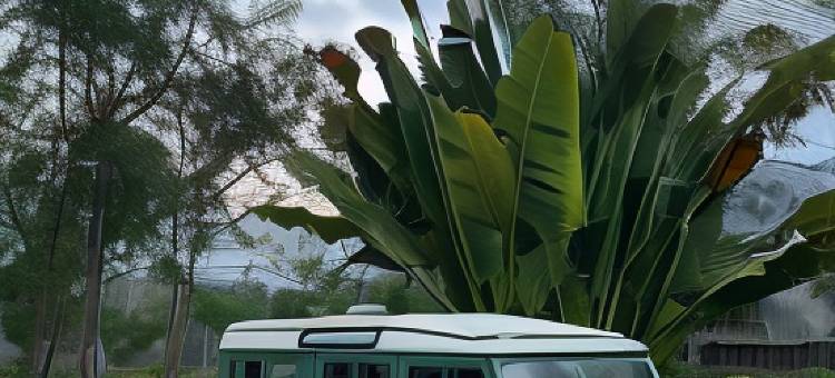 Kallista Villas Kalibaru图片