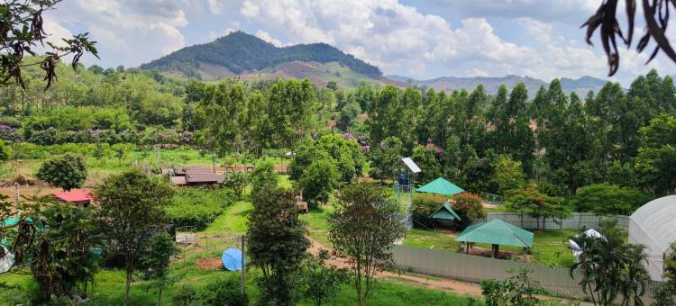 普发塔拉度假村(Phufatara Resort)图片