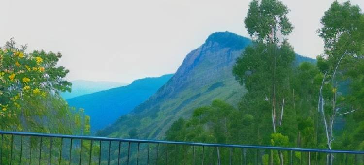 超越游牧奢华旅舍(Beyond Nomad Luxury Hostel)图片