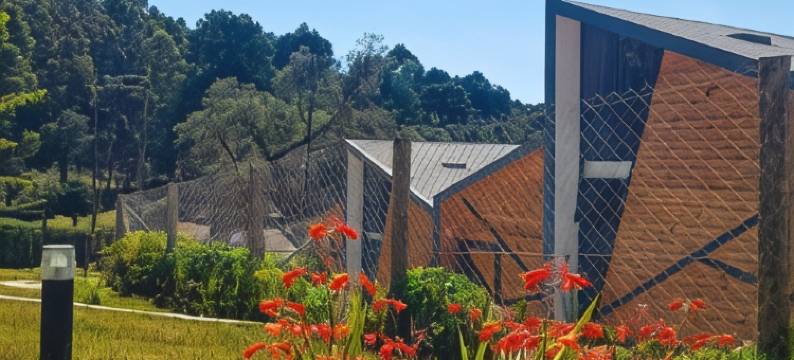 皮科16酒店(Hotel Pico 16)图片