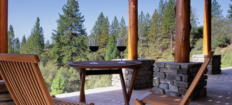 康特伍德旅馆(Courtwood Inn)图片