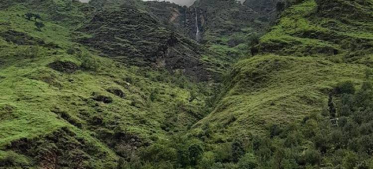 SHREE RAM 酒店(Shree Ram Hotel)图片