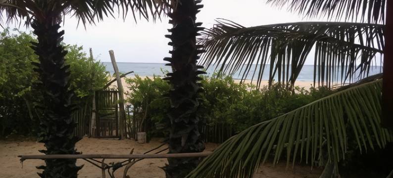 灯塔海滩小屋(Light House Beach Hut)图片