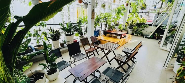哈罗西贡家庭旅馆(Hello SaiGon Homestay)图片