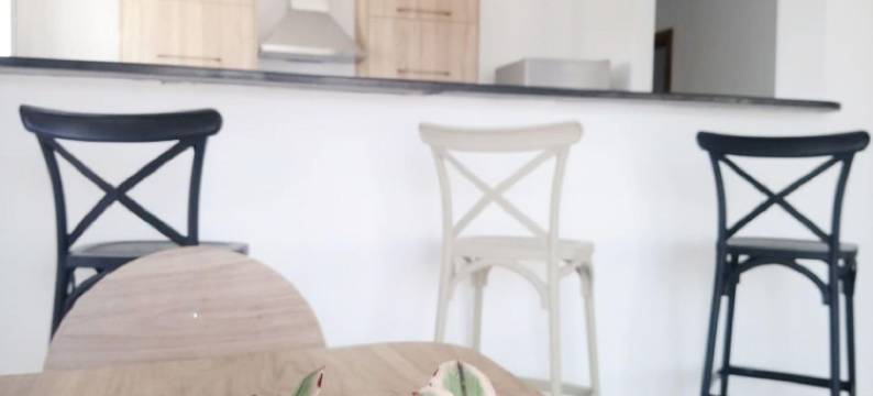 第二位置海滩达尔阿卢什凯利比亚Rfi Rdc(Second Position Beach Dar Allouche Kélibia Rfi Rdc)图片