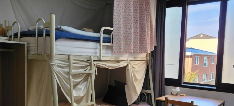 Aark旅舍(Aark House)图片