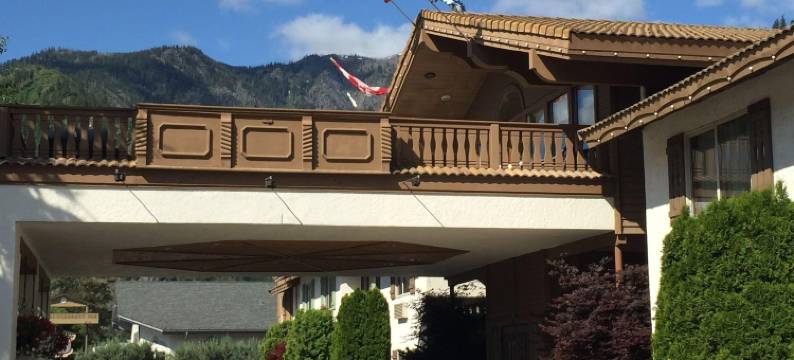 恩慈安旅馆(Enzian Inn)图片