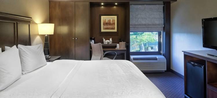 塔斯卡卢萨大学欢朋酒店(Hampton Inn Tuscaloosa-University)图片