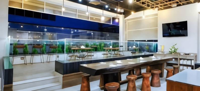 德萨图酒店(Desatu Hotel)图片