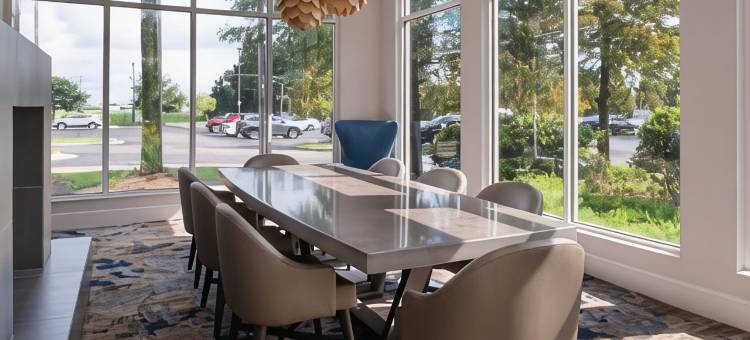 巴吞鲁日机场希尔顿花园酒店(Hilton Garden Inn Baton Rouge Airport)图片