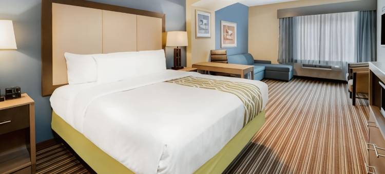 温德姆旗下拉昆塔温德姆酒店套房-布鲁萨尔-拉斐特地区(La Quinta Inn & Suites by Wyndham Broussard - Lafayette Area)图片