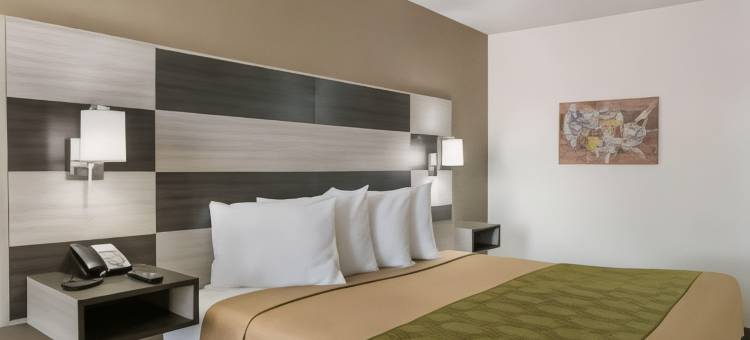 6 号汽车旅馆 - 雷克兰(Econo Lodge Lakeland)图片