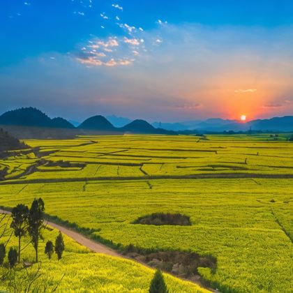 昆明+罗平+弥勒+普者黑景区+蒙自+建水+元阳+抚仙湖+东川区+元谋10日9晚跟团游