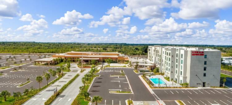 希尔顿花园酒店哈灵根会议中心(Hilton Garden Inn Harlingen Convention Center)图片