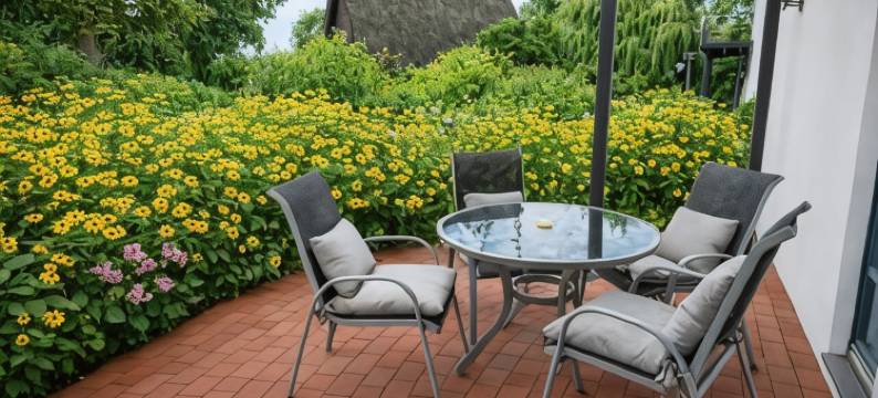 祖尔阿尔滕施米德酒店(Hotel Rügenschmiede Vis a Vis Hiddensee)图片