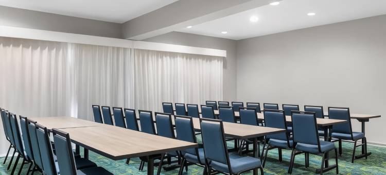 Spark休斯敦加勒里亚购物中心酒店by Hilton(Spark by Hilton Houston Near the Galleria)图片