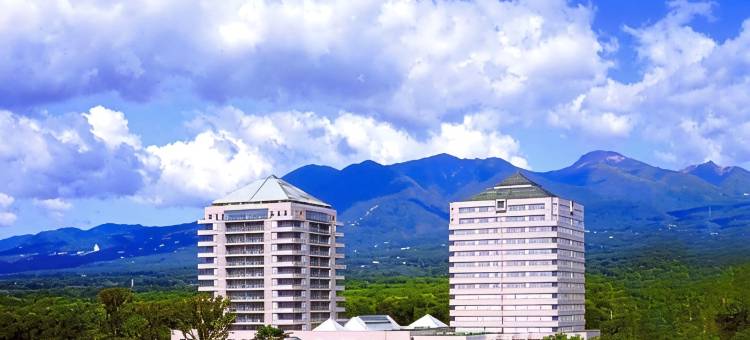 Epinard那须温泉酒店(Hotel Epinard Nasu)图片
