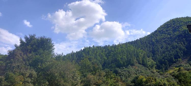 黄山蒋家宜家客栈图片