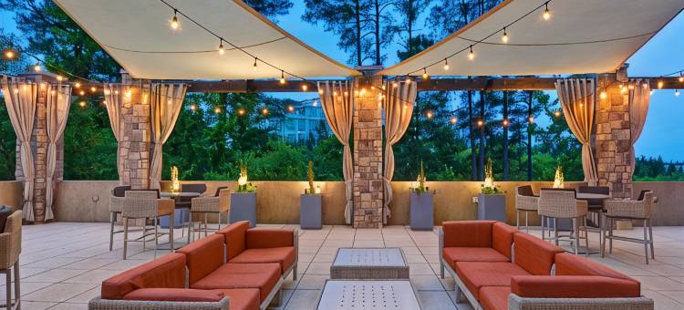 希尔顿安泊酒店-罗利达勒姆机场布莱尔溪(Embassy Suites by Hilton Raleigh Durham Airport Brier Creek)图片
