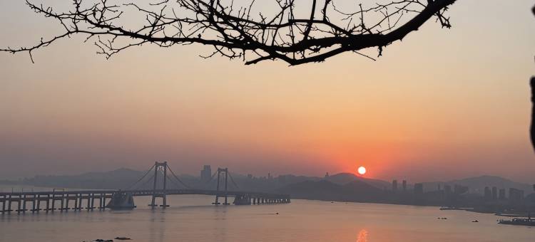 大连高新万达星海湾大桥海景亚朵酒店图片
