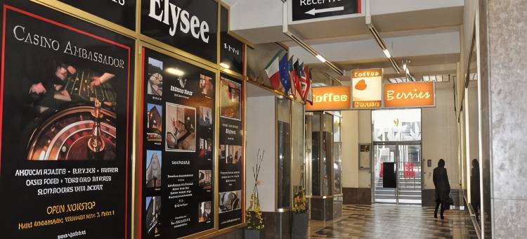 爱丽舍酒店(Elysee Hotel)图片