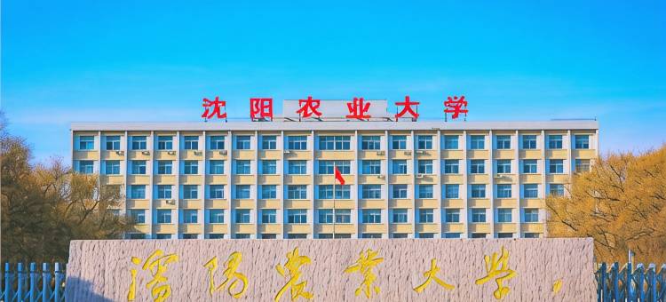 沈阳转角民宿(锦城邻里店)图片