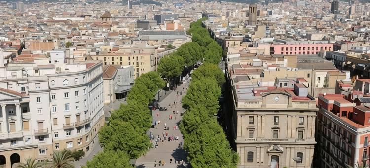 施洛斯酒店(Serras Barcelona)图片