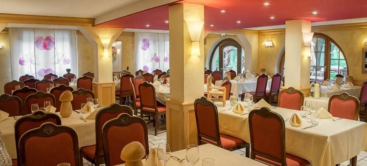 巴根内尔斯旅馆(Hostellerie les Bagenelles)图片