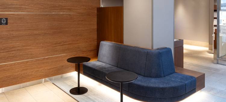 相铁FRESA INN 东京赤坂(Sotetsu Fresa Inn Tokyo-Akasaka)图片