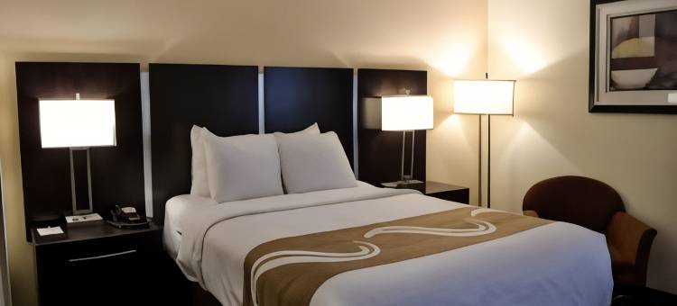 Dunmore舒适酒店-斯克兰顿东(Comfort Inn Dunmore - Scranton East)图片