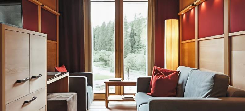 拉加奇奥山居酒店(Lagació Hotel Mountain Residence)图片