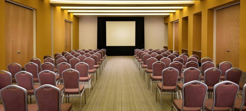 蒙特雷机场希尔顿花园酒店(Hilton Garden Inn Monterrey Airport)图片