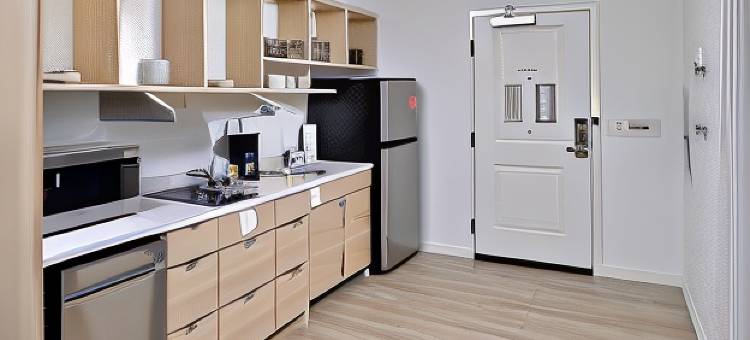阿什维尔市中心TownePlace Suites酒店(TownePlace Suites Asheville Downtown)图片