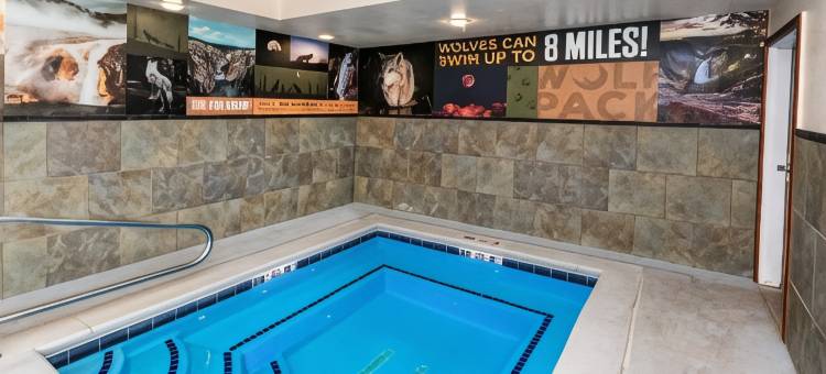 灰狼套房酒店(Gray Wolf Inn & Suites)图片